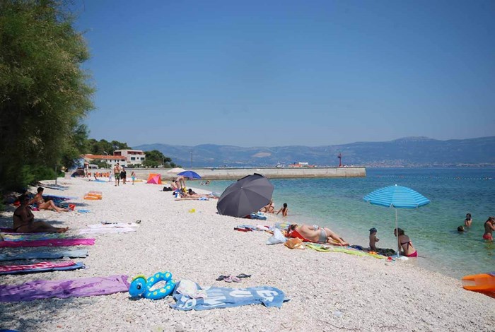 Dalmatian beach